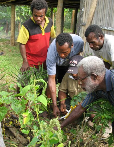 TCA gardening program