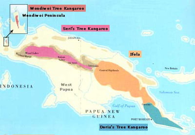Distribution of Doria's Tree Kangaroo