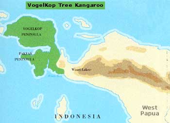 Distribution of Vogelkop Tree Kangaroo