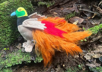 Bird of Paradise soft toy